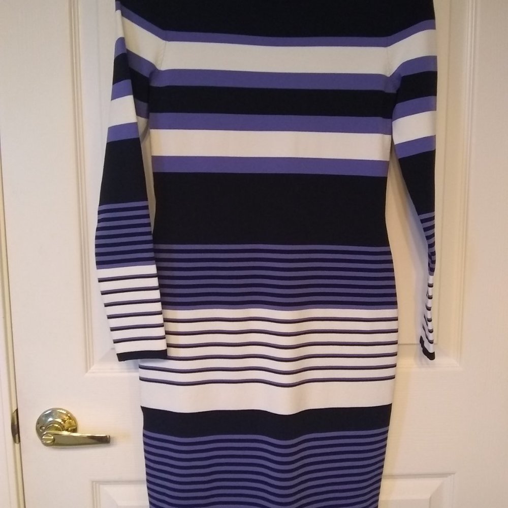 Antonio Melani Long Sleeve Striped Dress